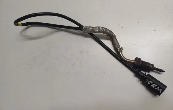 Exhaust gas temperature sensor