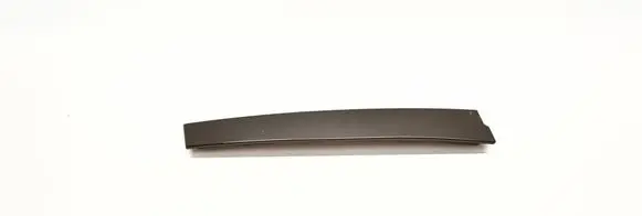 Rear door glass trim molding