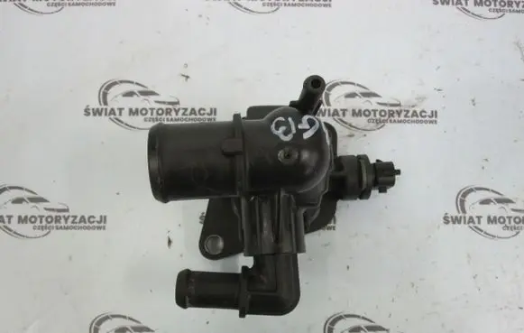 Thermostat/thermostat housing