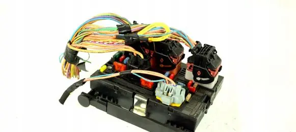 Peugeot Partner BSM Control unit 9663100480