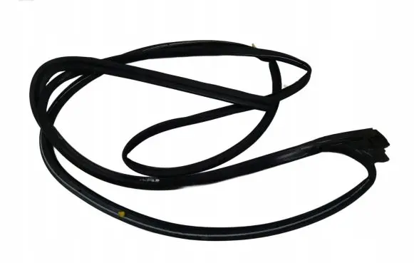 Ford F150 Rubber seal rear door 
