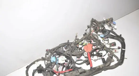 Tesla Model 3 Other wiring loom 256796405C 2567964 106796404F