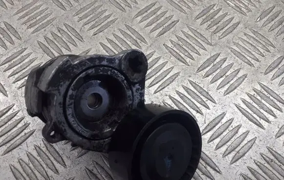 Chevrolet Lacetti Alternator belt tensioner pulley F-55658796440419