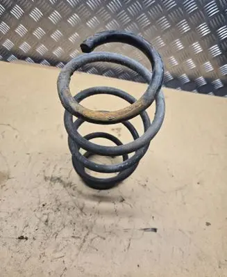 Rear coil spring