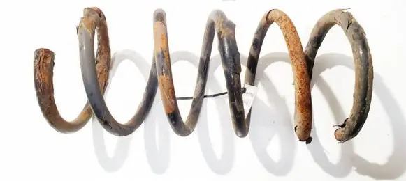 Rear coil spring