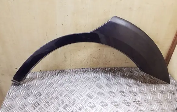 Fender trim (molding)