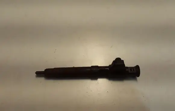 Ford Galaxy Fuel injector 9674984080