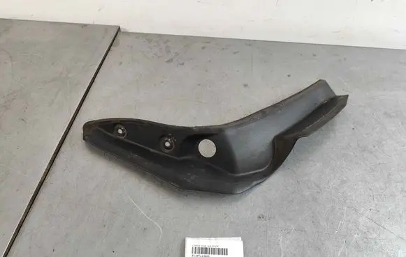 Rear/tail light trim molding