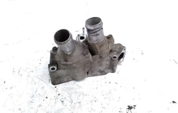 Thermostat/thermostat housing