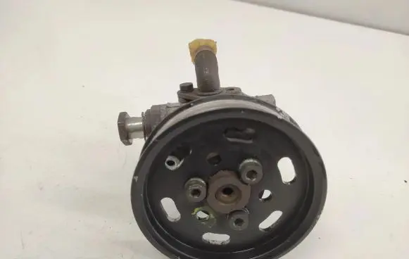 Volkswagen Golf IV Power steering pump 038145255B