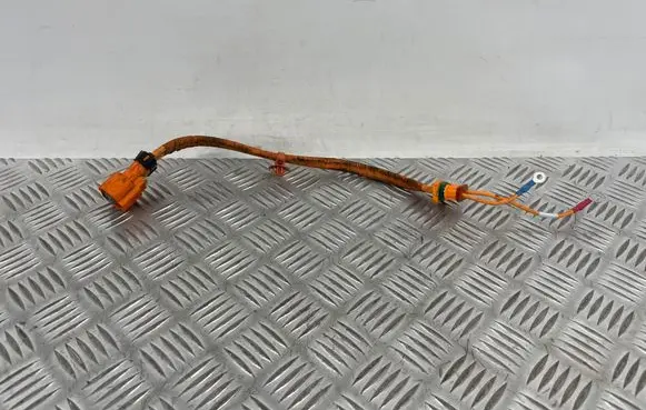 Hyundai Ioniq 5 Other wiring loom