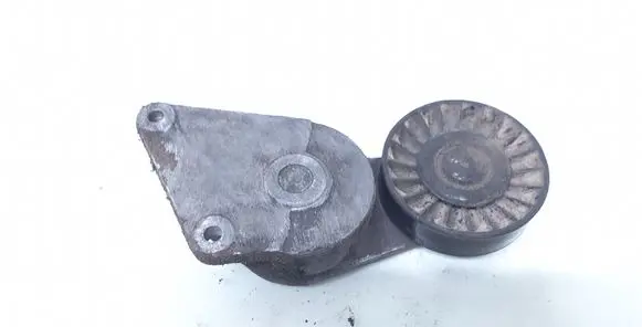 Peugeot 406 Generator/alternator belt tensioner 9623654380