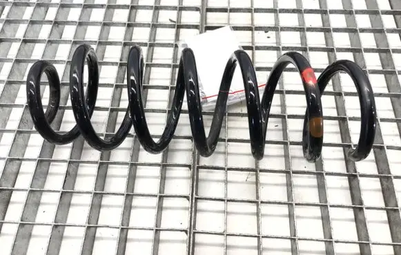 Rear coil spring