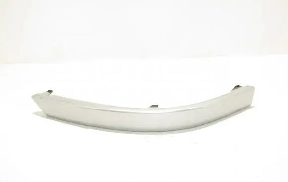 Rear/tail light trim molding