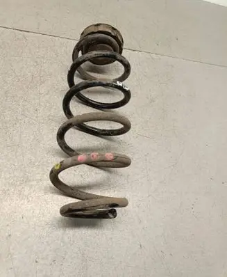 Rear coil spring