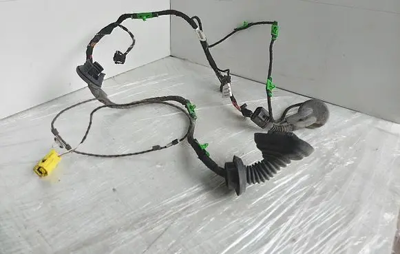 Front door wiring loom