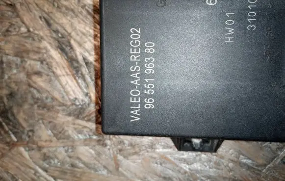 Citroen Xsara Picasso Other control units/modules 9655196380