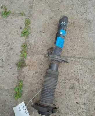 Volkswagen Golf V Front shock absorber/damper 824904004793 313053 36E91A