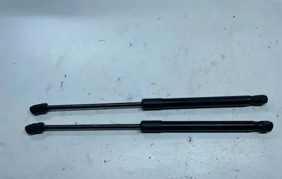 BMW X6 E71 Front bonnet/hood damper/strut 7148346