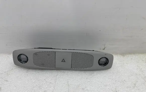 Tesla Model 3 Front seat light 109257300M