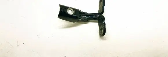 BMW X5 F15 Tailgate/trunk/boot hinge 7352697