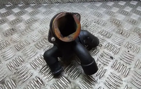 Thermostat/thermostat housing