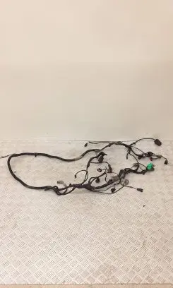 Chrysler Grand Voyager V Wiring harness P04869670ag