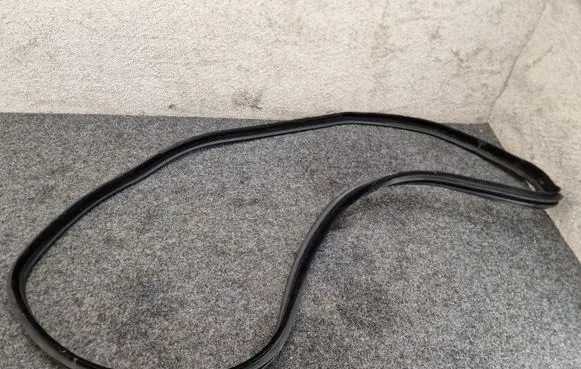 BMW 3 GT F34 Rear door rubber seal (on body) 7381989