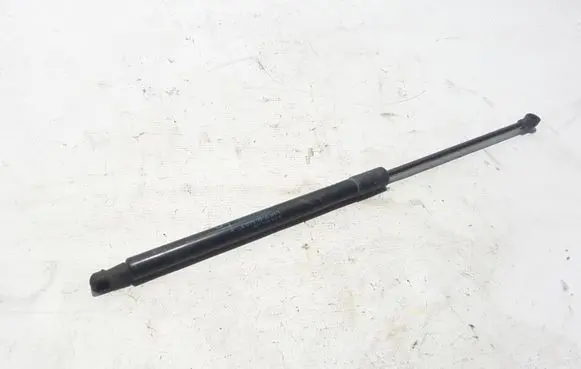 Renault Scenic IV - Grand scenic IV Tailgate strut 904502860R