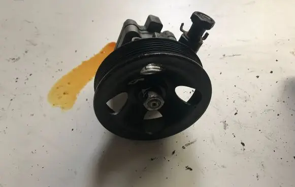 Hyundai Santa Fe Power steering pump 5710026300