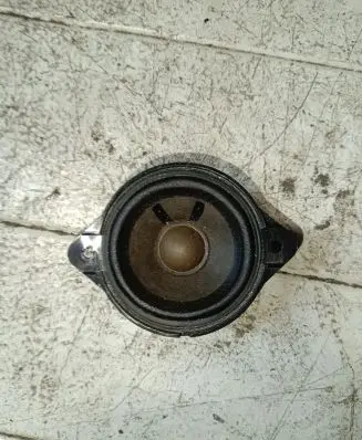 Panel speaker