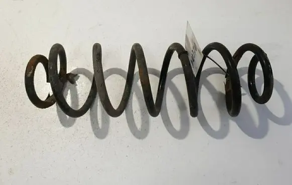 Rear coil spring