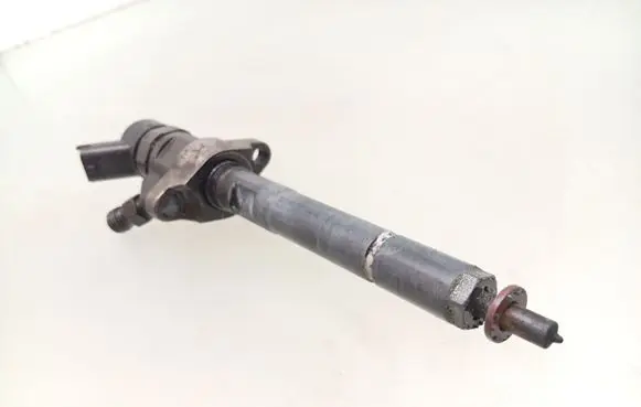 Citroen Xsara Picasso Fuel injector 0445110239
