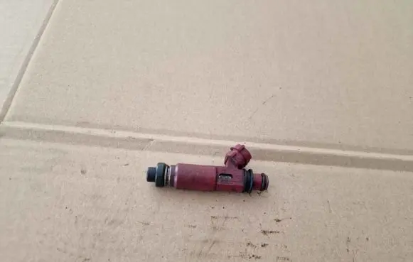 Mazda 3 I Fuel injector 1955003310