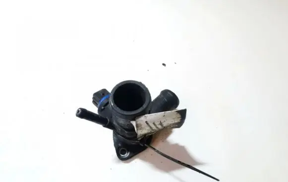 Engine coolant pipe/hose