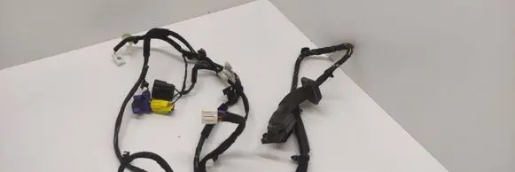 Front door wiring loom