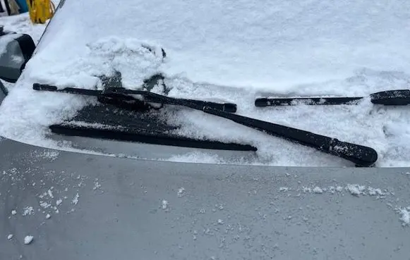 Dacia Logan I Front wiper blade arm 