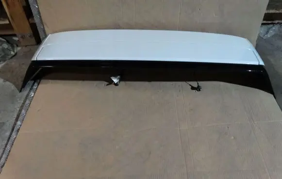 Porsche Cayenne (9Y0 9Y3) Tailgate/trunk/boot hinge