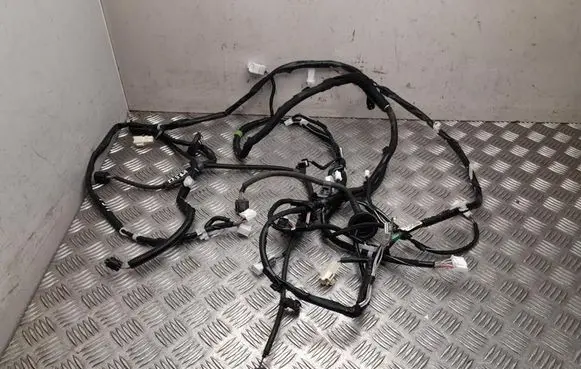 Lexus ES VII XZ10 Other wiring loom 8218133P10