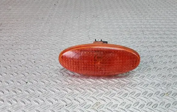 Front fender indicator light