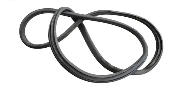 BMW 3 G20 G21 Rubber seal rear door 7407375