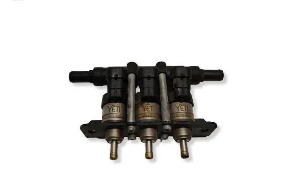 Audi A6 S6 C6 4F LP gas injector 67R018502 110R018503