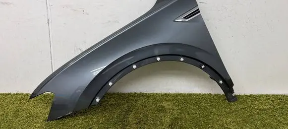 Volkswagen Tiguan Fender 5NA821105