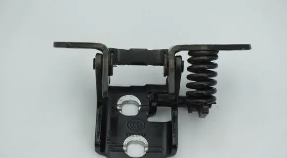 Fiat Freemont Rear door lower hinge