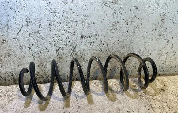 Rear coil spring