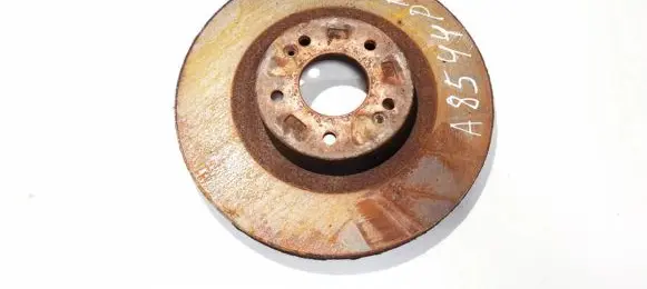 Hyundai Santa Fe Front brake disc ventiliuojamas