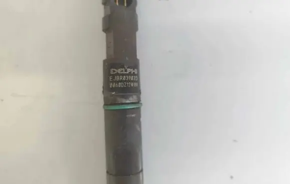 KIA Carnival Fuel injector ejbr03902d 0060dz12w08