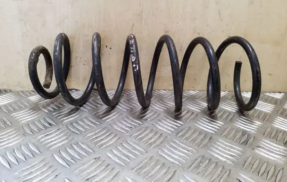 Rear coil spring