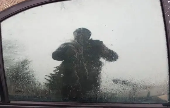 Rear door window glass