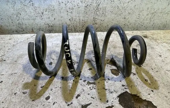 Rear coil spring